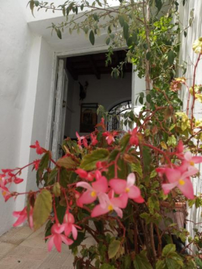 Azur, Vejer De La Frontera
